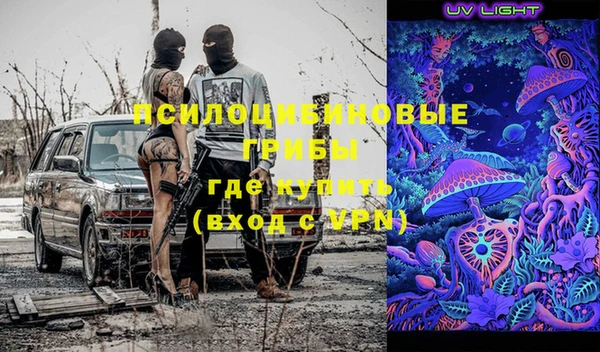 стаф Зеленодольск
