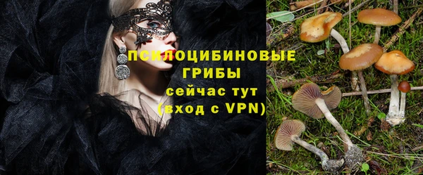 стаф Зеленодольск